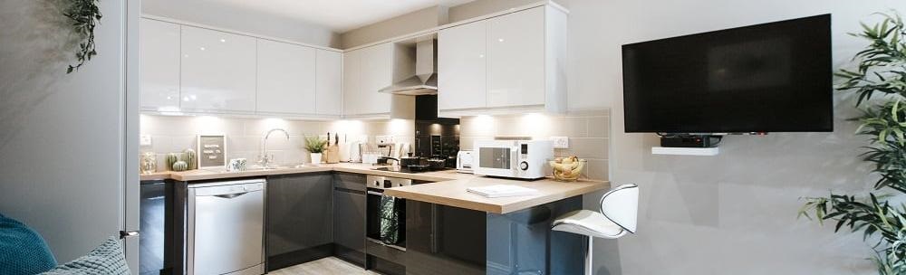 Modern Open Plan Kitchen